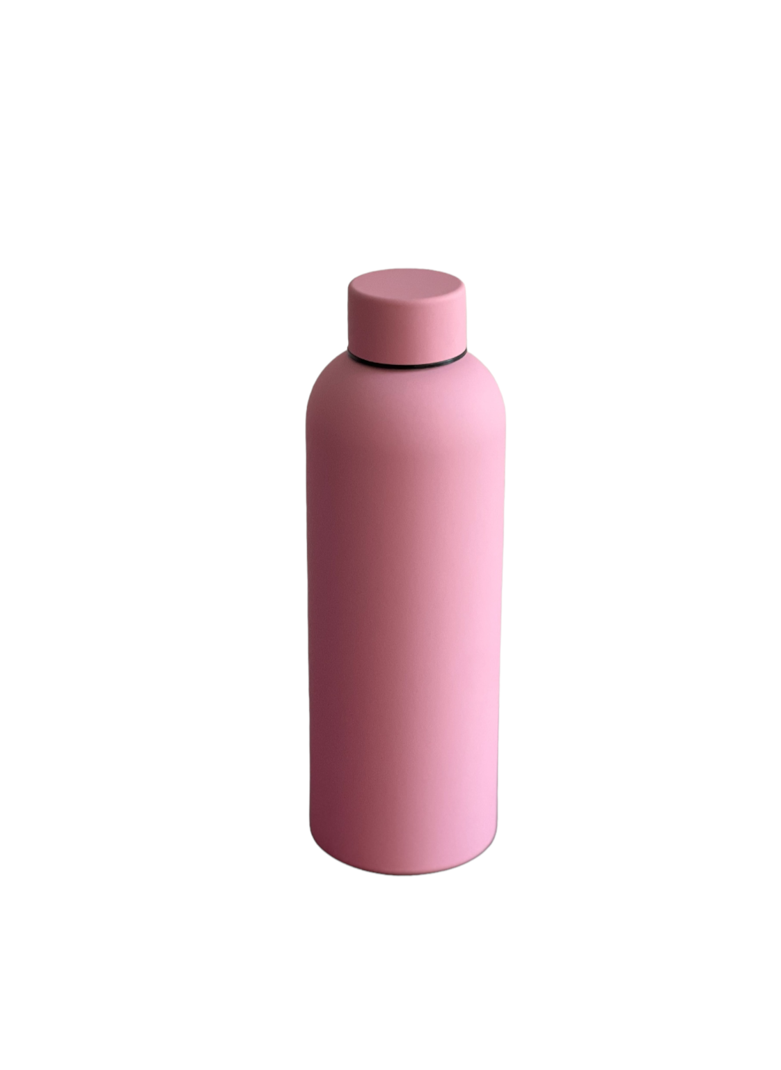 Frosted Water Bottle Stainless Steel