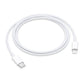 Apple USB-C to Lightning Cable 1m A2561